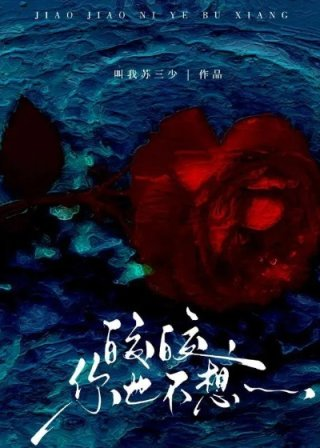 皎皎