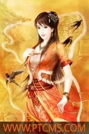 大盗窃清