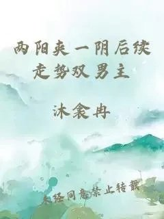 两阳夹一阴后续走势双男主