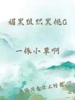 媚黑组织黑桃q