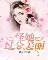 怪她过分美丽攻略