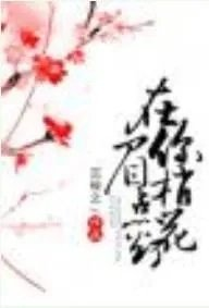 在你眉梢点花灯讲什么