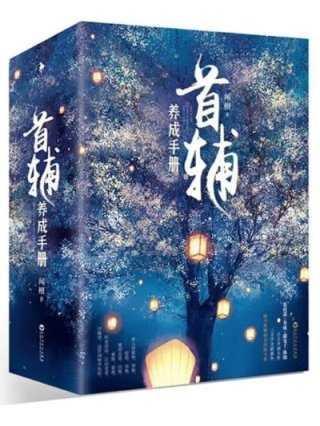 首辅养成手册张晚意任敏主演