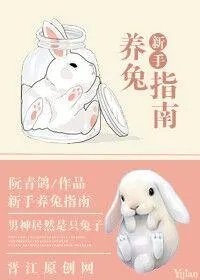 新手养兔指南视频