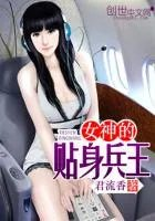 女神的贴身兵王