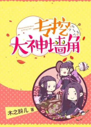 专挖大神墙角