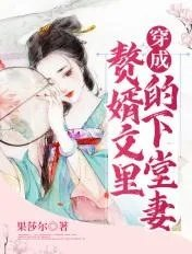 穿成赘婿文女主角怎么破