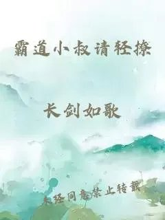 霸道小叔请轻撩