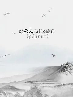 sp杂文