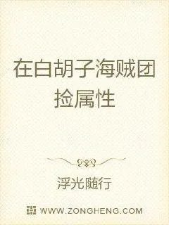 主角穿越加入白胡子海贼团