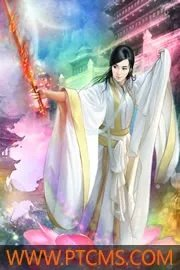去美国当警察