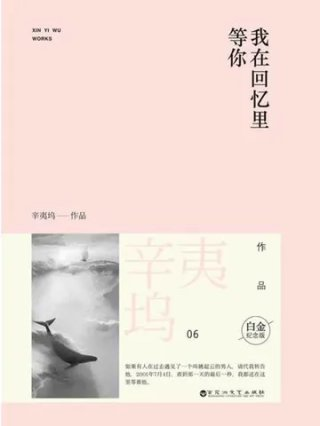 我在回忆里等你