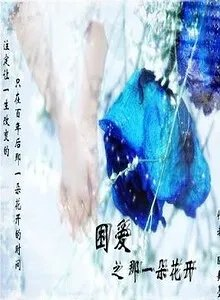困爱之那一朵花开