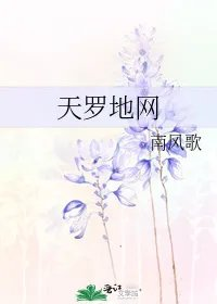 天罗地网