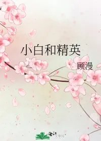 小白和精英