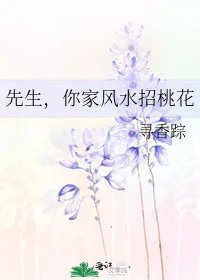 先生你家风水招桃花