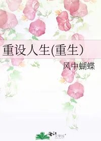 重设人生重生