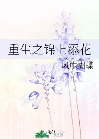 重生之锦上添花