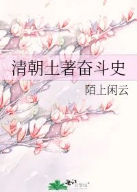 清朝土著奋斗史