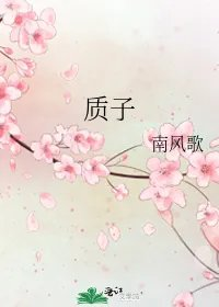 质子