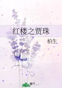 红楼之贾珠