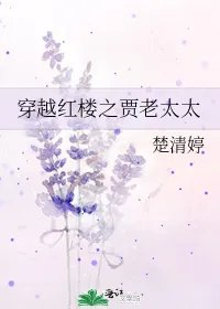 穿越红楼之贾老太太