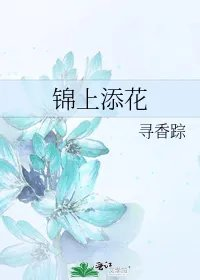 锦上添花