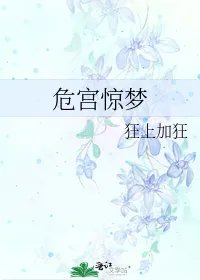 危宫惊梦