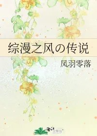 综漫之风の传说
