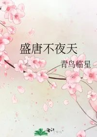盛唐不夜天