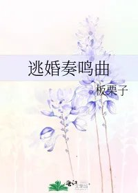 逃婚奏鸣曲