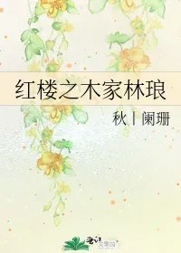 红楼之木家林琅