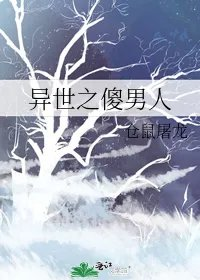 异世之傻男人