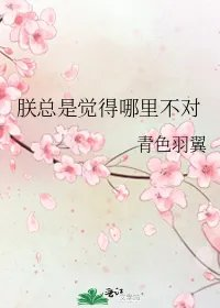 朕总是觉得哪里不对