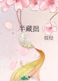 半藏拙