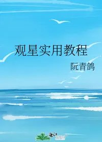 观星实用教程