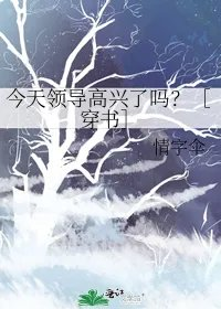 今天领导高兴了吗穿书
