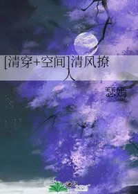 清穿空间清风撩人