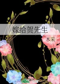 嫁给贺先生