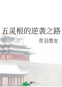 五灵根的逆袭之路