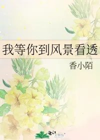 我等你到风景看透