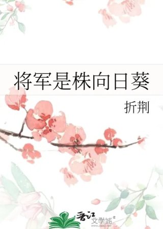 将军是株向日葵