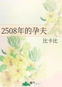 2508年的孕夫