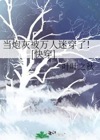 当炮灰被万人迷穿了快穿
