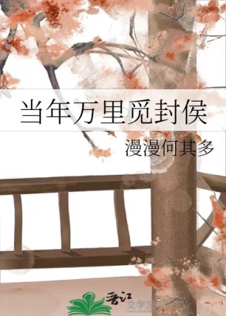 当年万里觅封侯