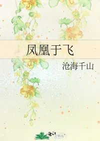凤凰于飞