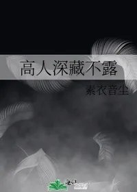 高人深藏不露