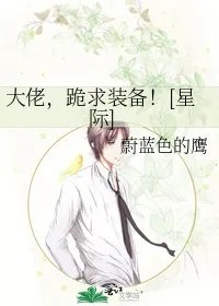 大佬跪求装备星际