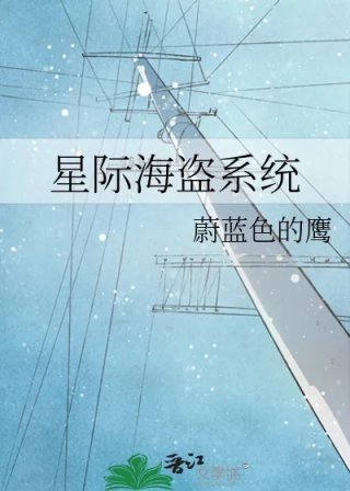 星际海盗系统