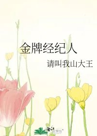 金牌经纪人